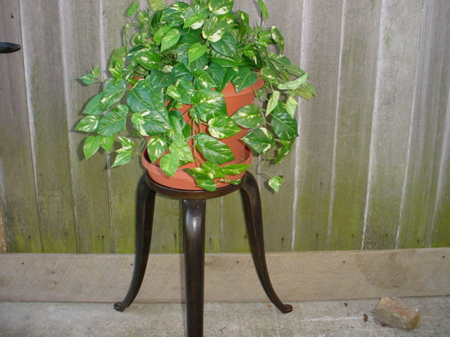 Plant stands Image